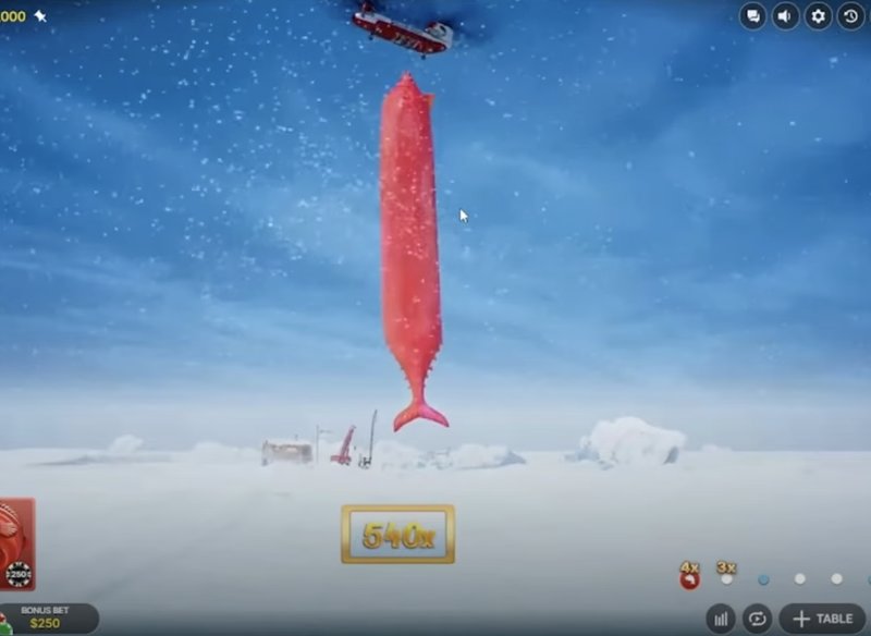 Ice fishing gambling game - Erfahrungen mit dem Online-Spiel