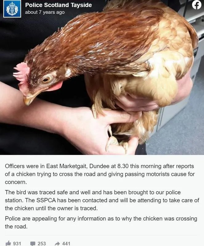 A look at chicken road online