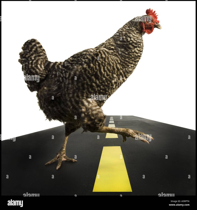 Juego chicken road in Spain Juego chicken road in Spain